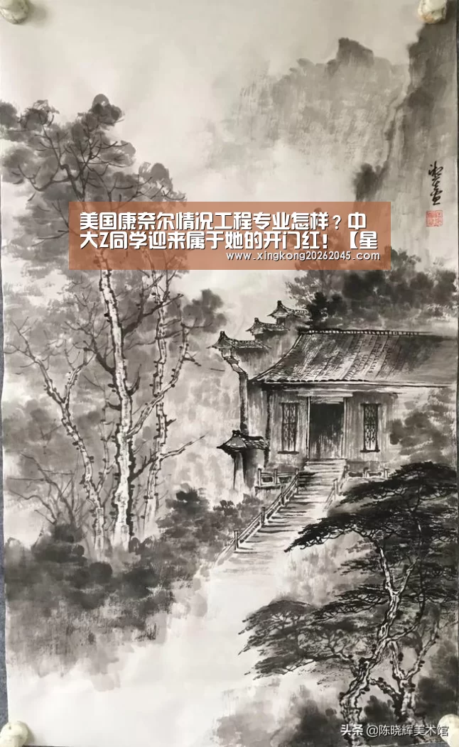 美国康奈尔情况工程专业怎样?中大Z同学迎来属于她的开门红!【星空官网】(图2) 星空竞猜