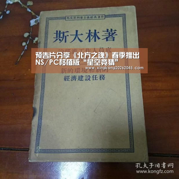 预告片分享《北方之魂》春季推出NS/PC移植版“星空竞猜”(图3) 星空赛事