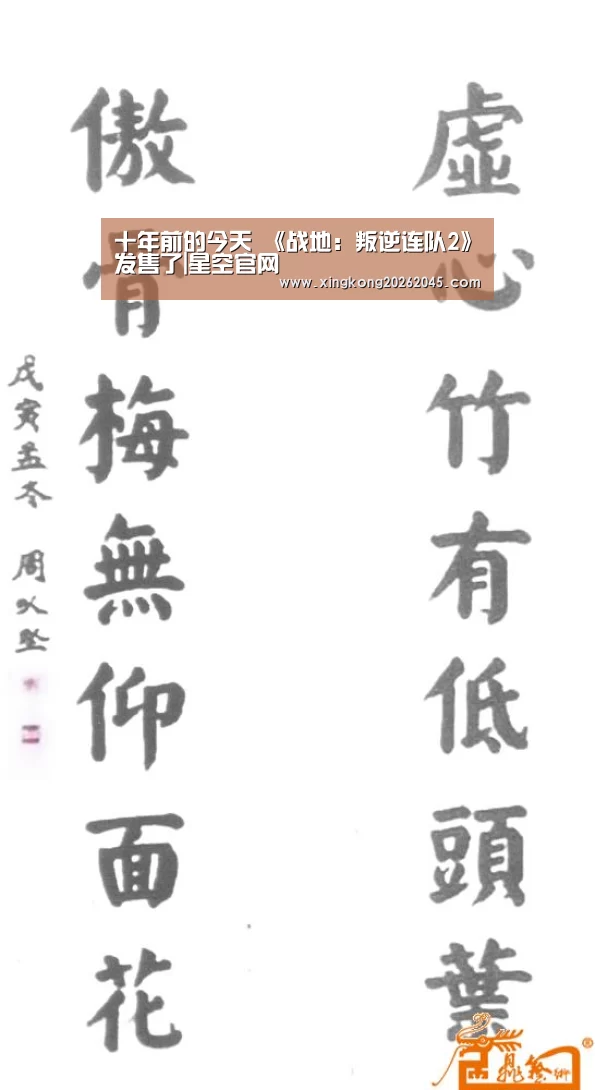 十年前的今天 《战地:叛逆连队2》发售了|星空官网(图2) 星空电竞